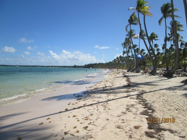Bibijagua